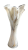 Wazon Szklany DDS1
